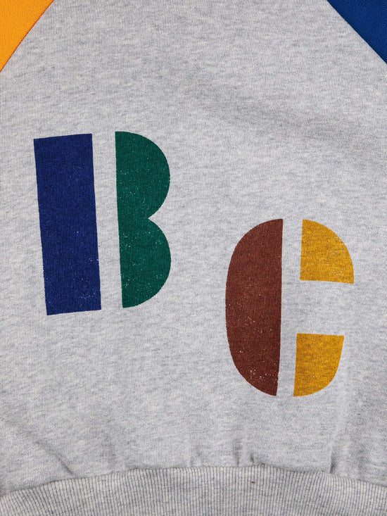 Multicolour B.C Hooded Sweatshirt