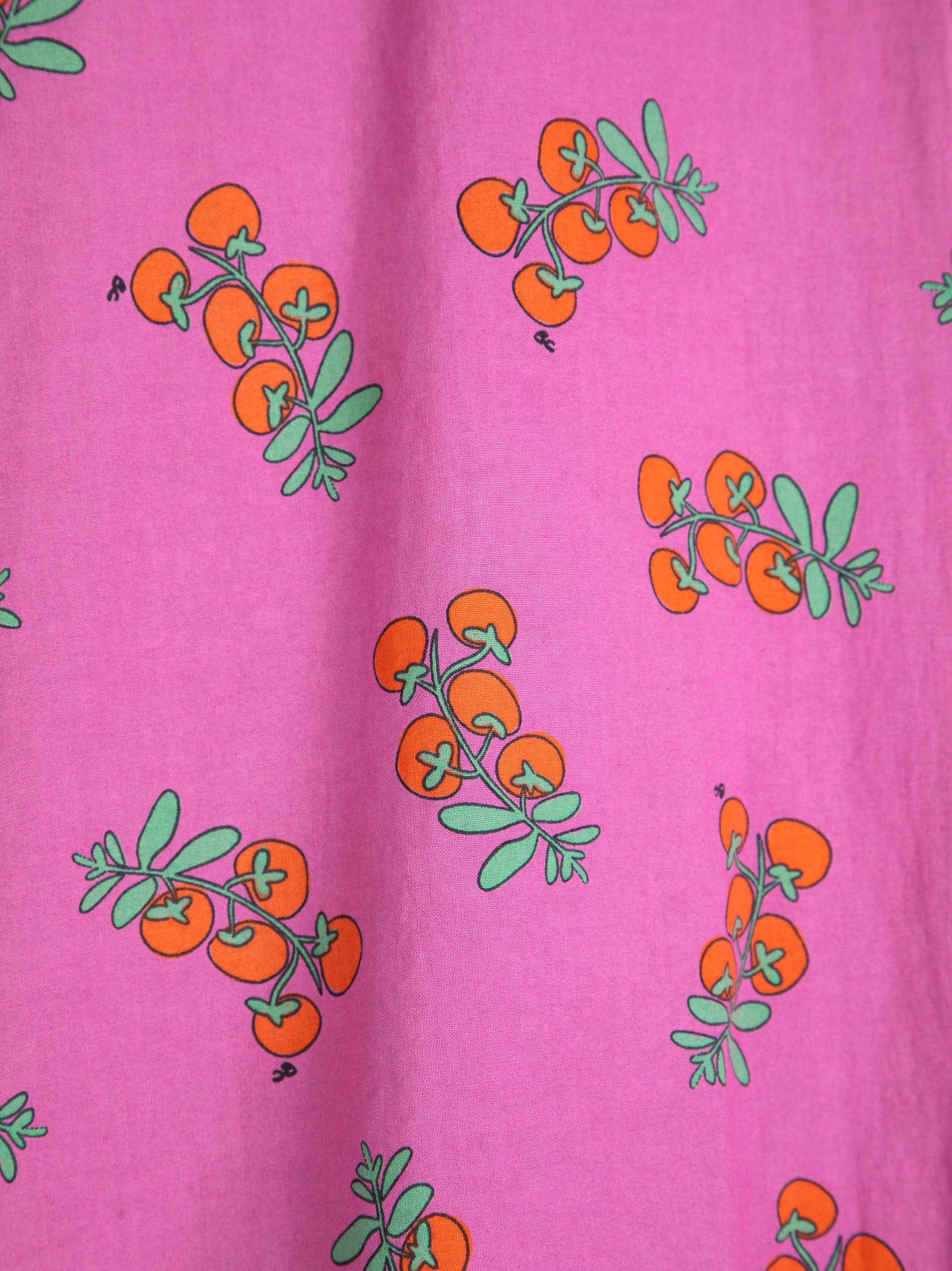Juicy Tomatoes Big Collar Dress