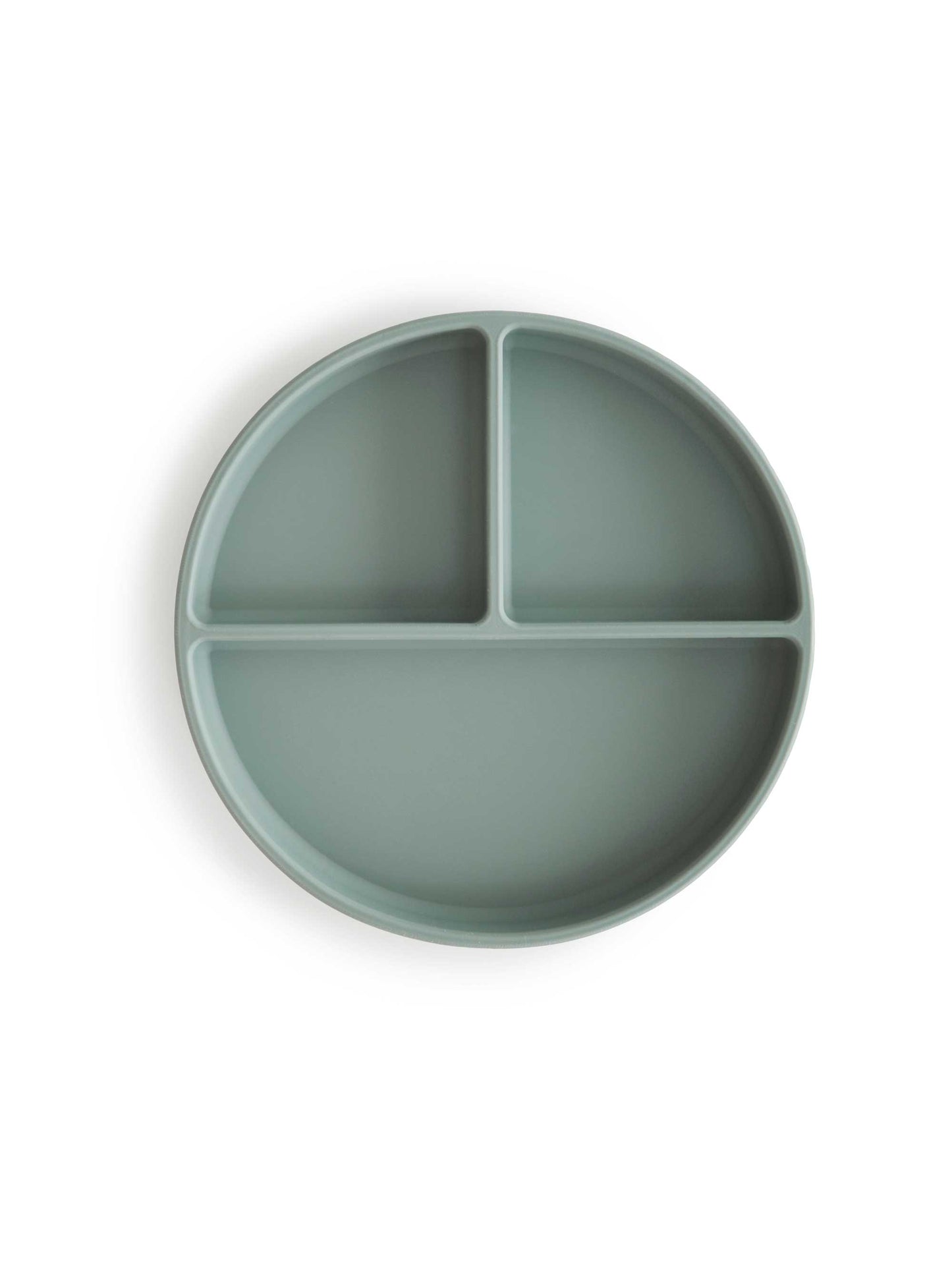 Cambridge Blue Sectioned Silicone Plate