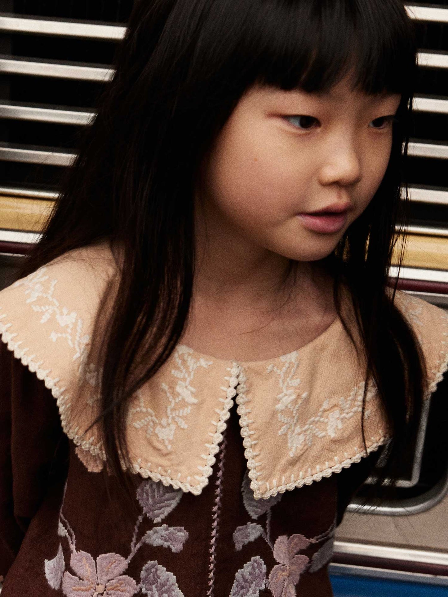 Dark Chocolate Daria Blouse