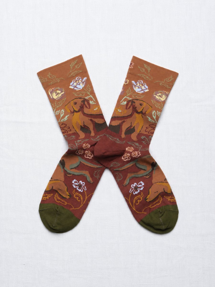 Caramel Dachshund Socks