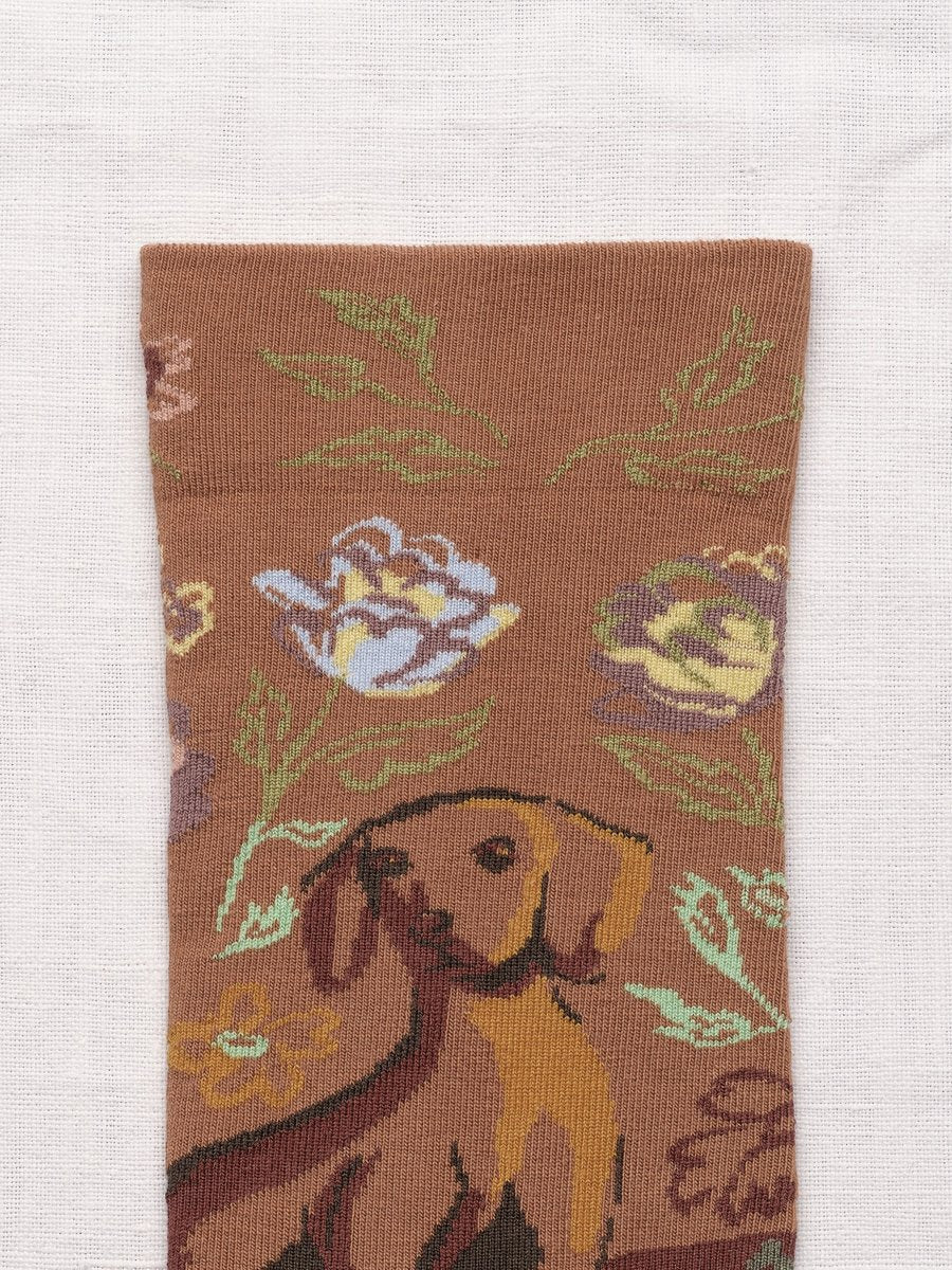 Caramel Dachshund Socks