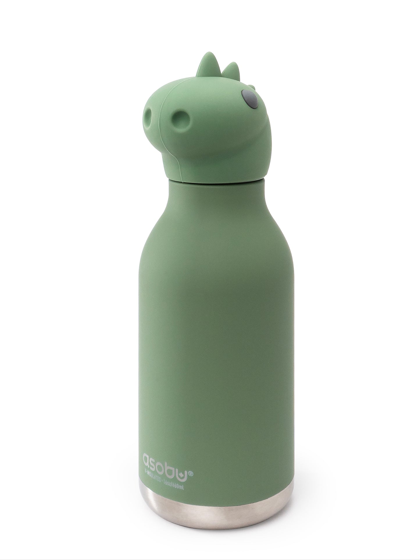 Dinosaur Water Bottle
