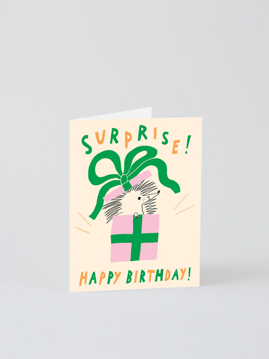 Suprise! Happy Birthday Card