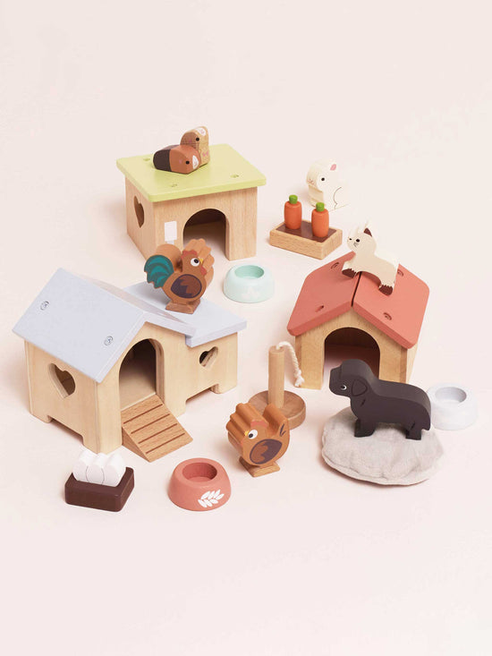 Chicken Coop Playset