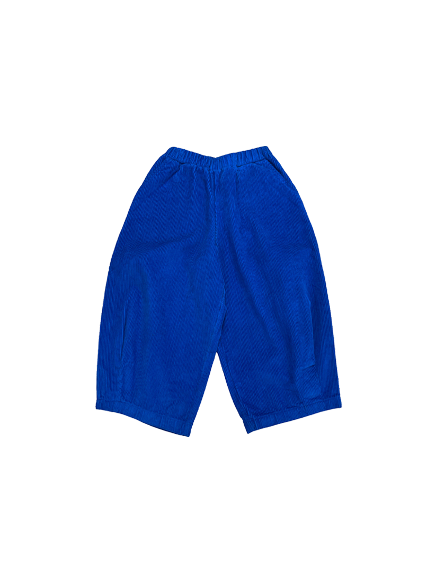 Electric Blue Cord Trousers
