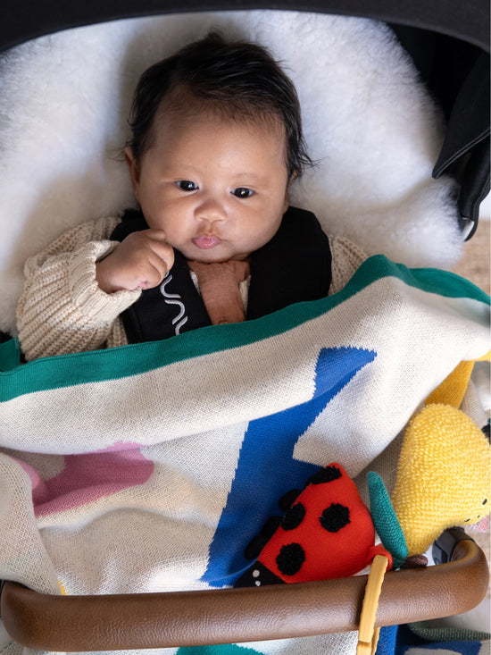 Numbers Baby Blanket