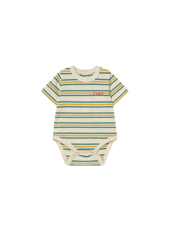 Stripes Multicolour Body