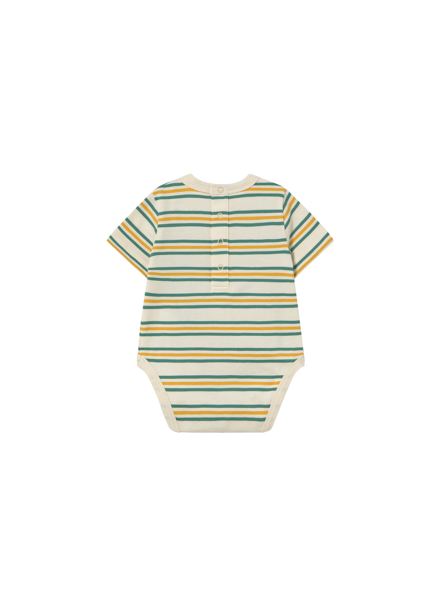 Stripes Multicolour Body