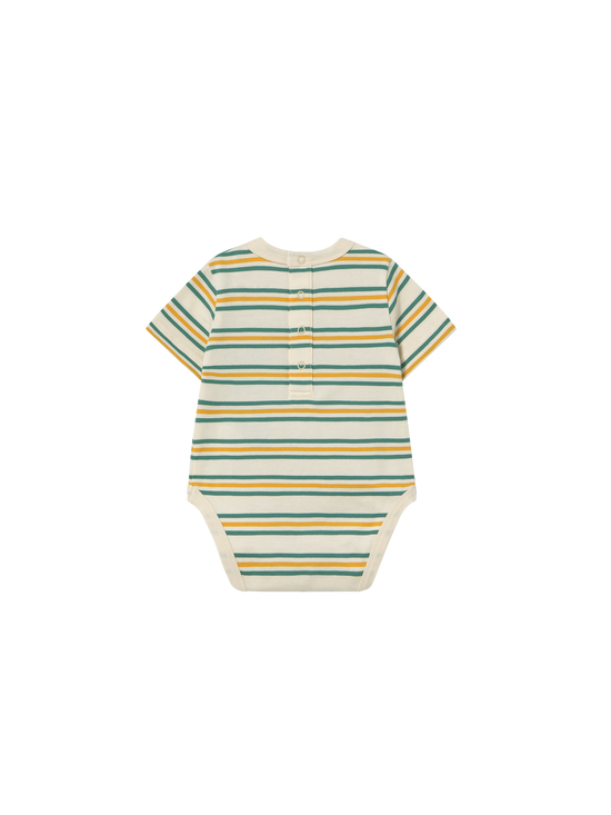 Stripes Multicolour Body