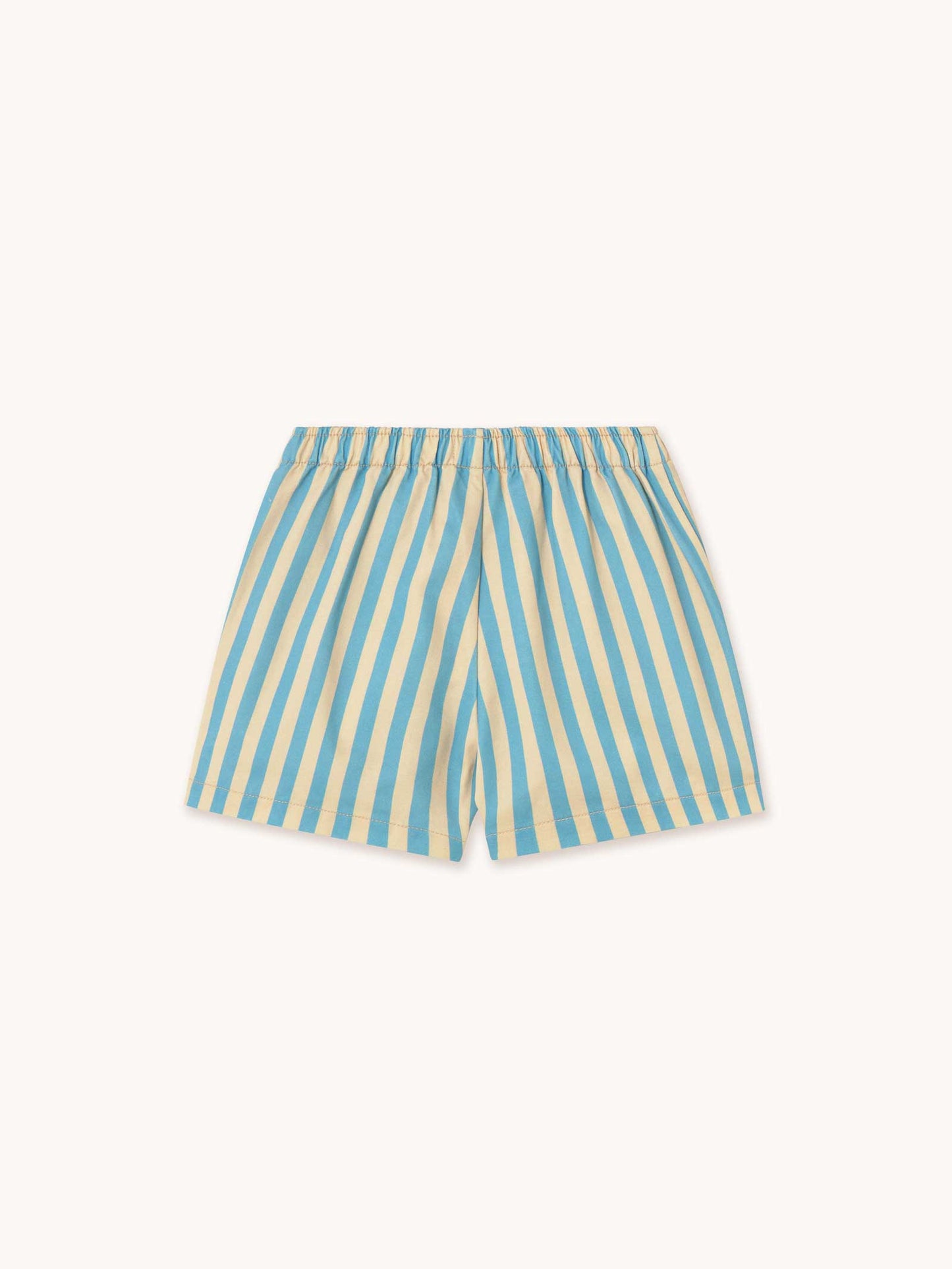 Blue Striped Shorts