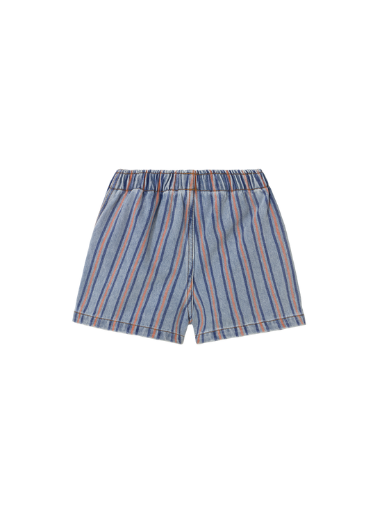 Stripes Multicolour Denim Shorts