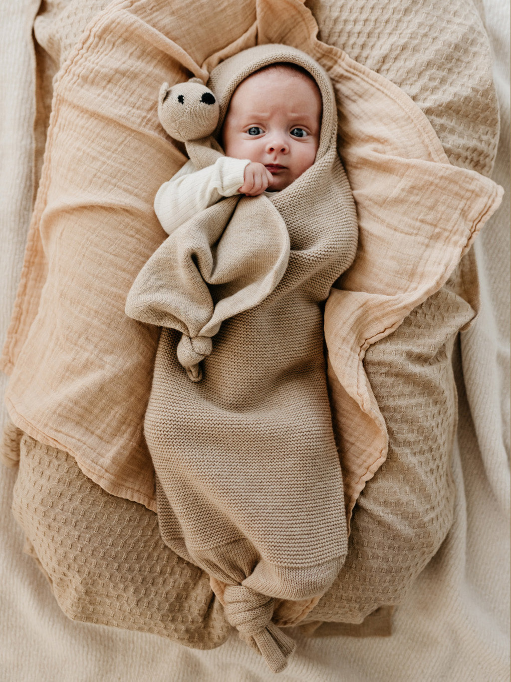 Sand Teddy Tokki
