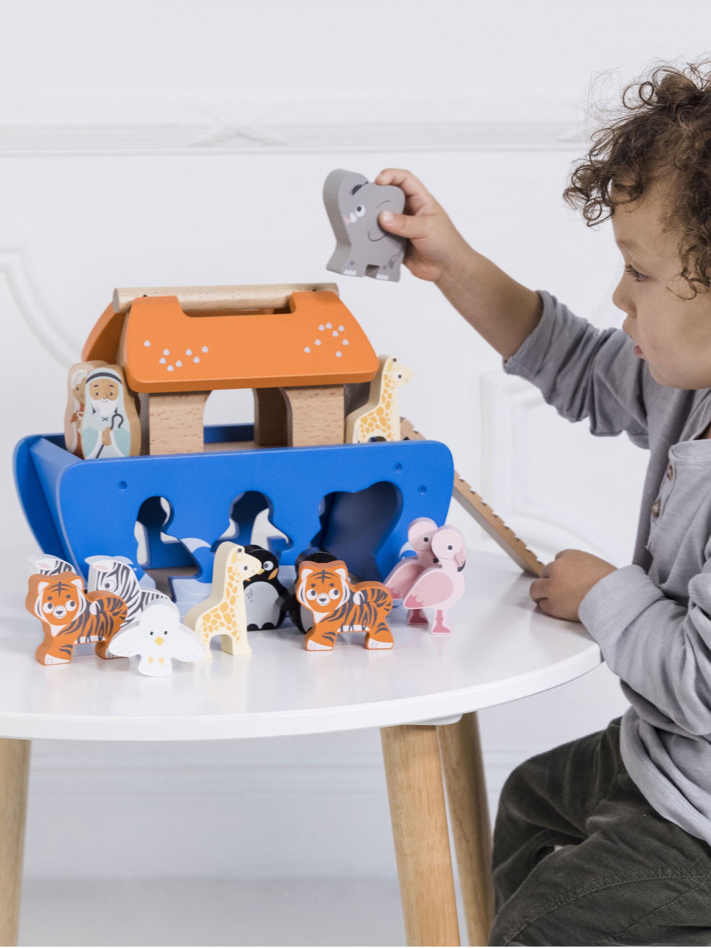 Noah's Ark & Animals Shape Sorter