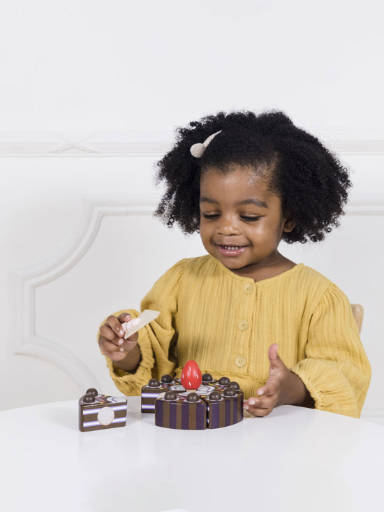 Chocolate Gateau Sliceable Cake