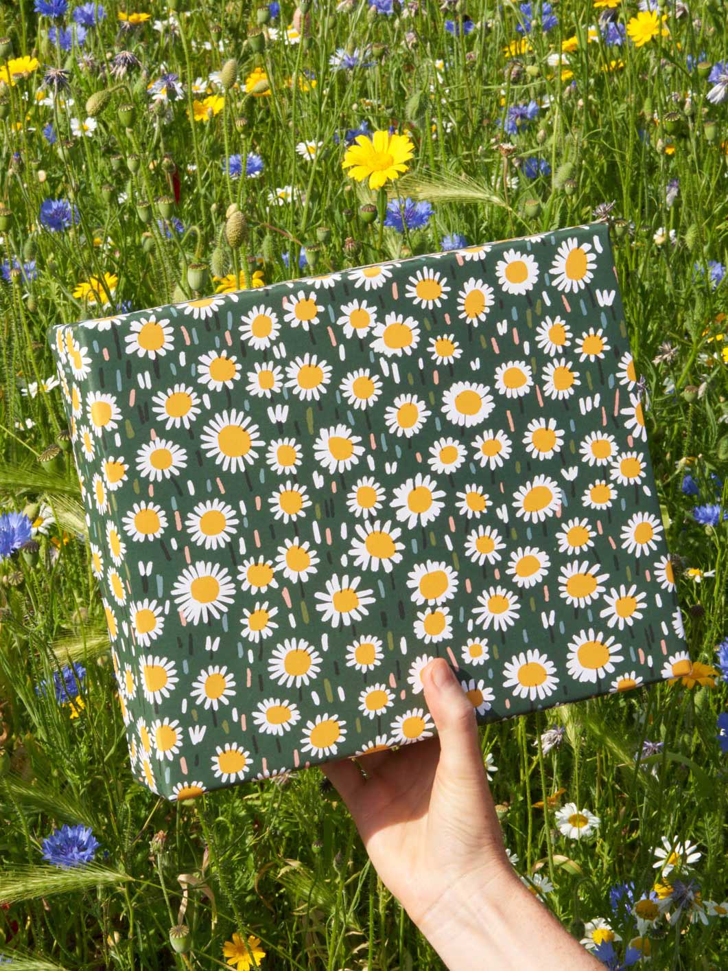 Daisies Wrapping Paper