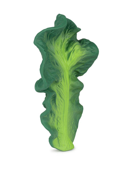 Kendall the Kale Teether