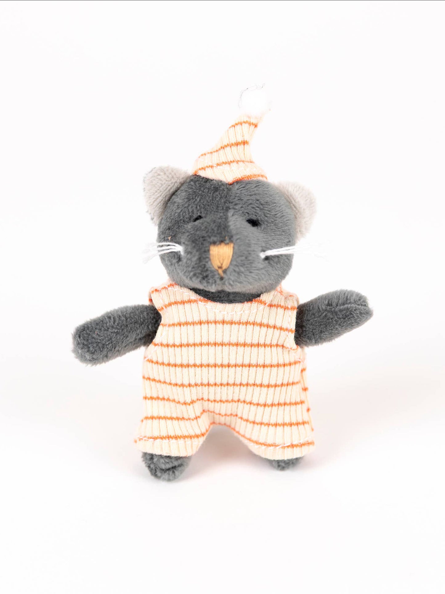 Malo The Kitten