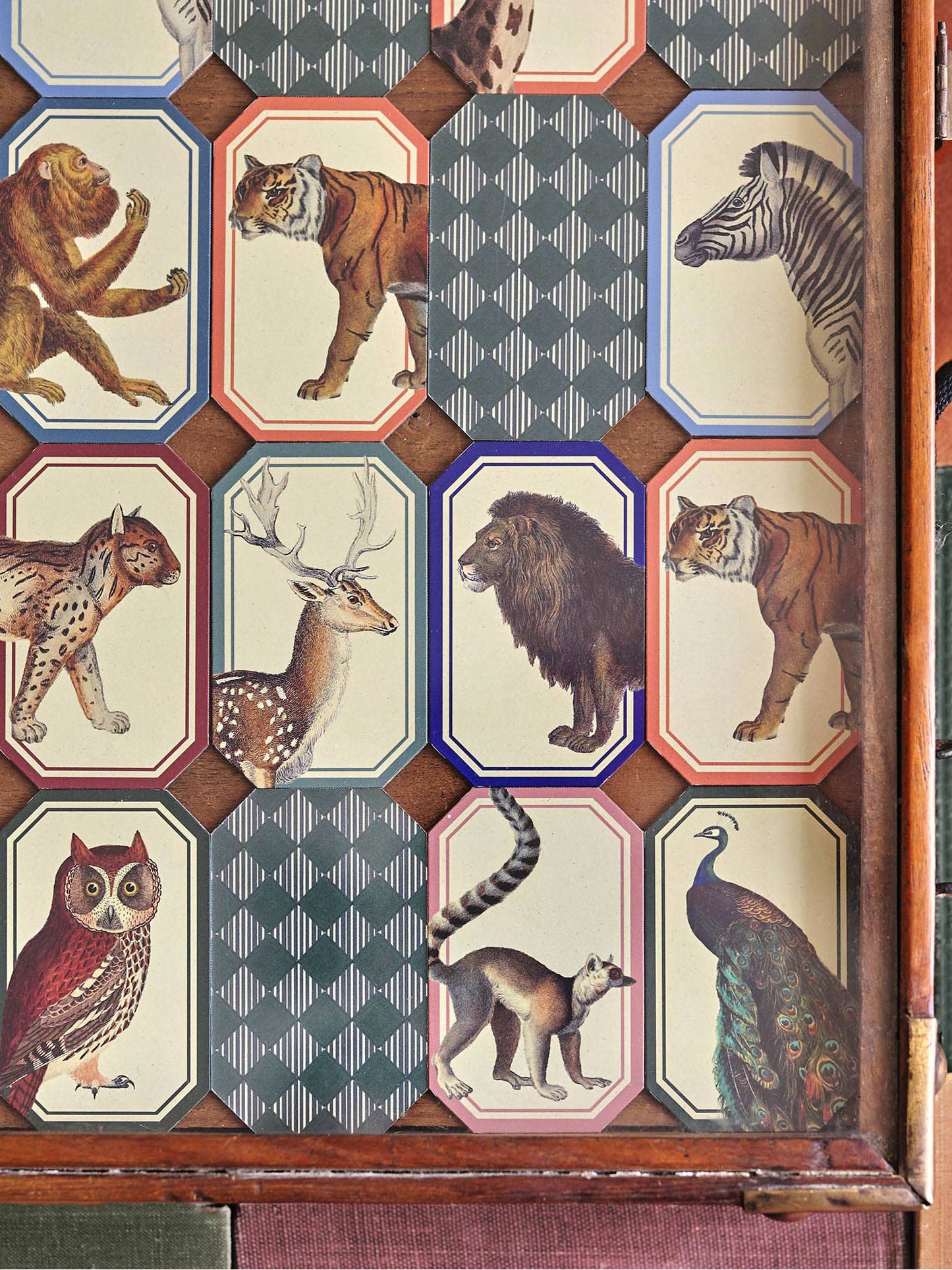 Animal Kingdom Memory Game