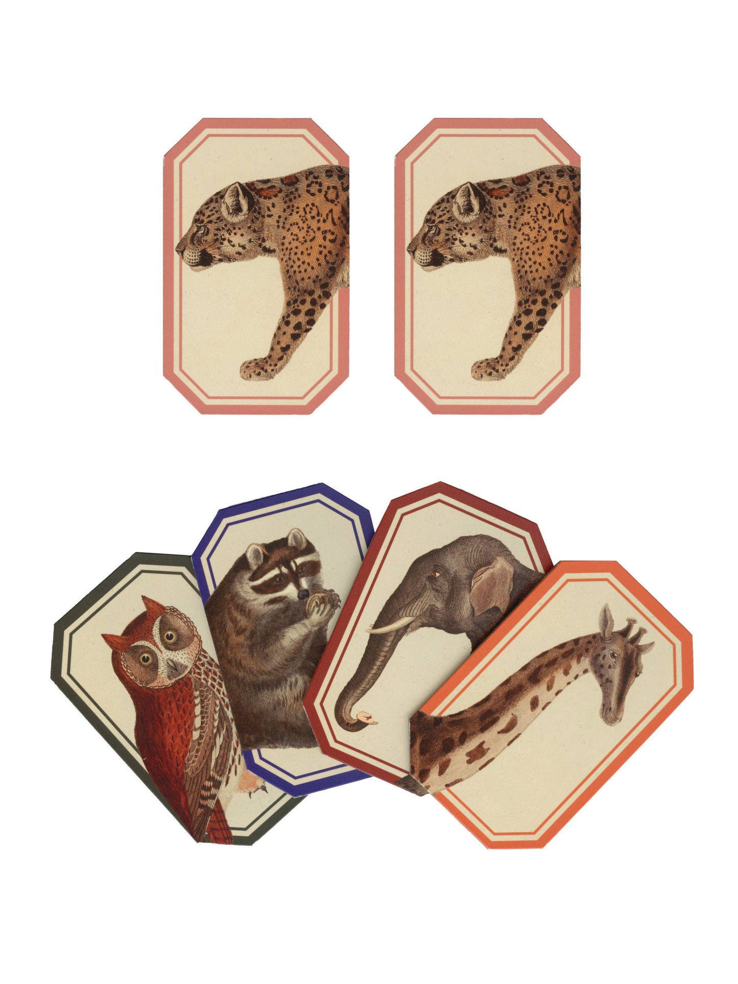 Animal Kingdom Memory Game