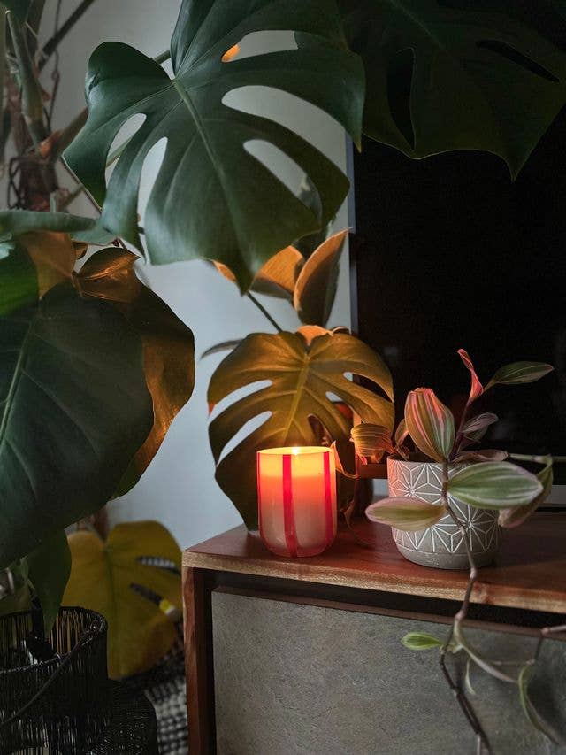Atina Candle: Orange Blossom & Basil