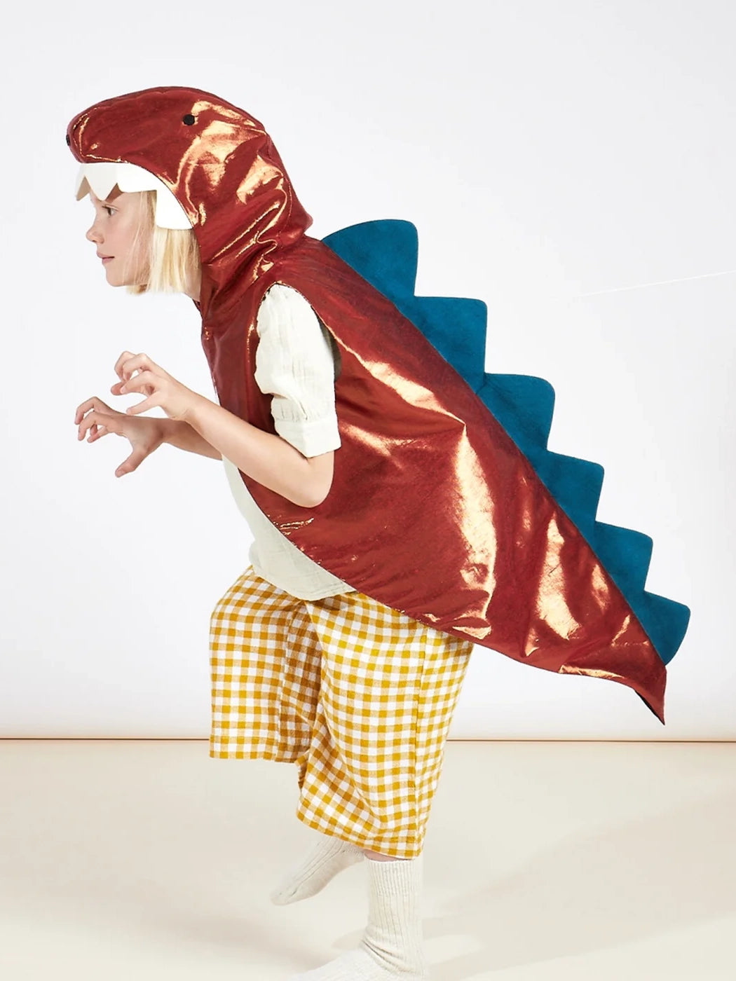 Dinosaur Costume