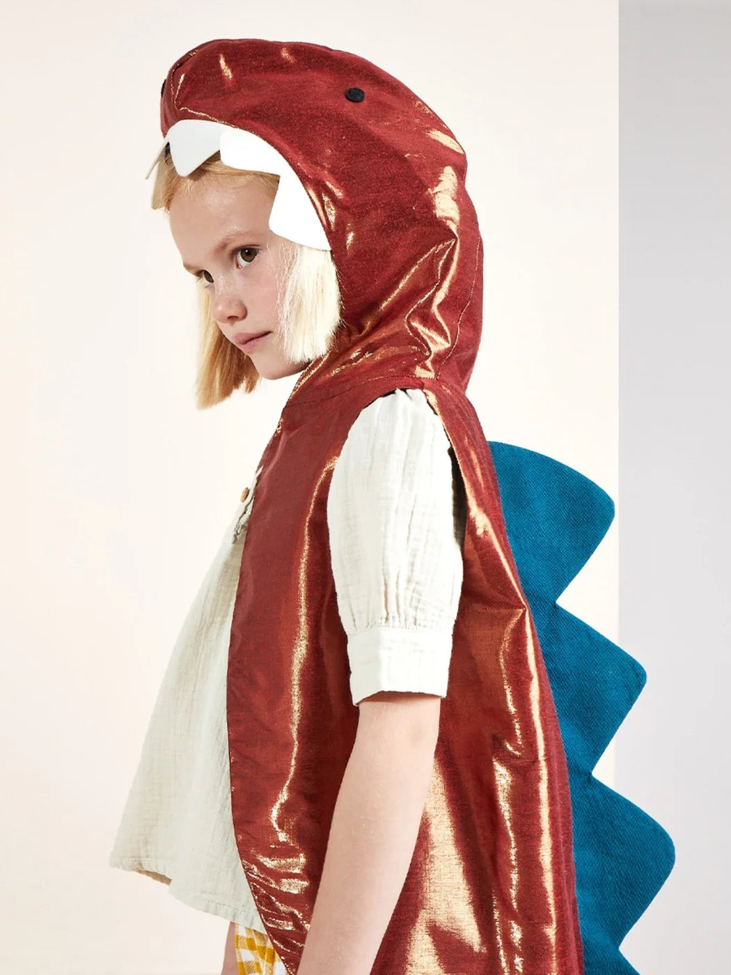 Dinosaur Costume