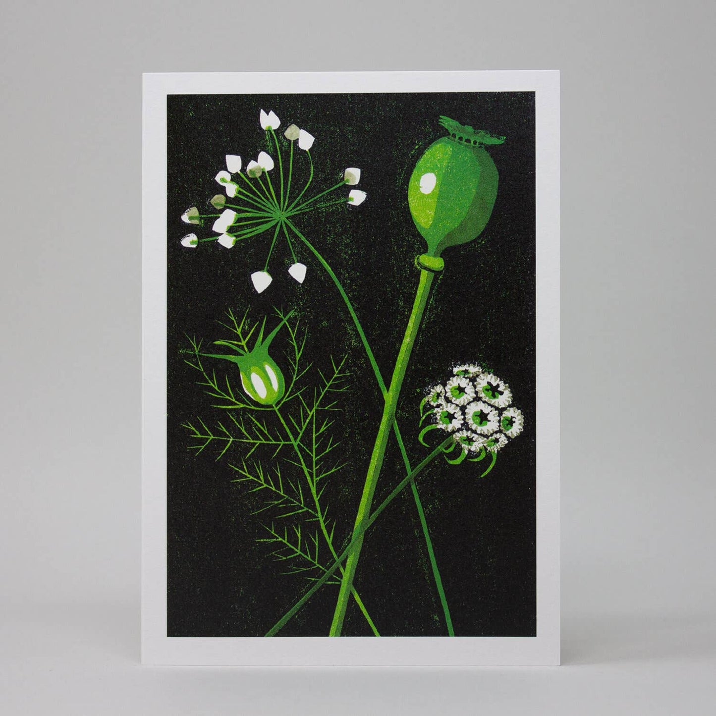 Load image into Gallery viewer, Seed Heads Greeting Card
