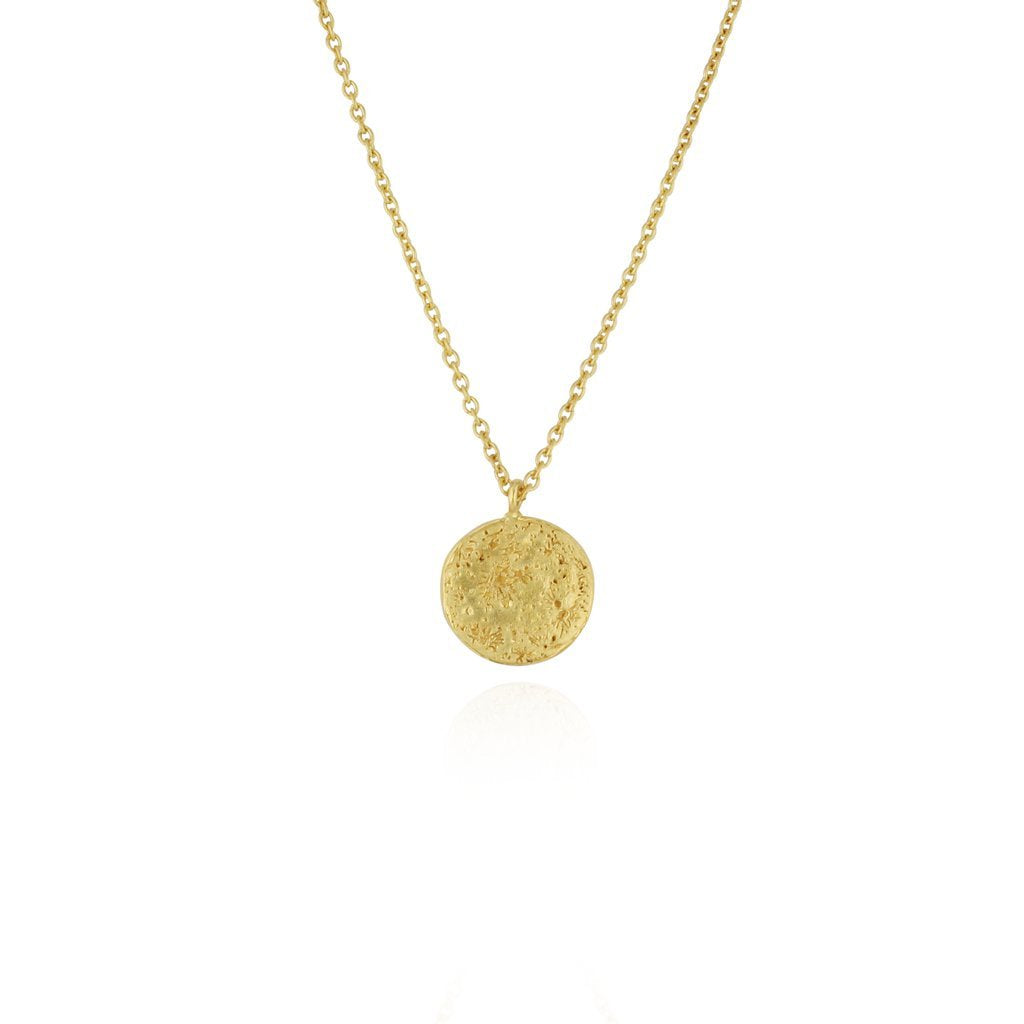 Load image into Gallery viewer, Moon Disc Necklace
